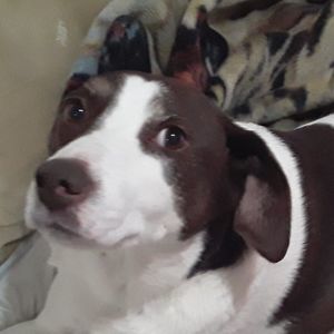 Meet your Posher, Adam